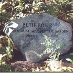 Historic Gardens Preservation at the 1627 Aptucxet Trading Post Museum where the Beth Bourne Wildflower Garden (pictured) and the 1600's Herb Gardens are maintained by our members